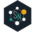 Smart Node logo