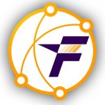 Flashmoni logo