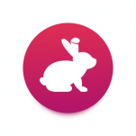 BunnyToken logo