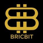 BRICBIT logo