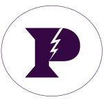 PapelCoin logo