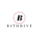 Bitdrive logo