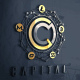 Capital Technologies & Research logo