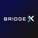 BridgeX Network logo