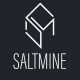 Saltmine logo