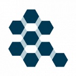 Irbis Network logo