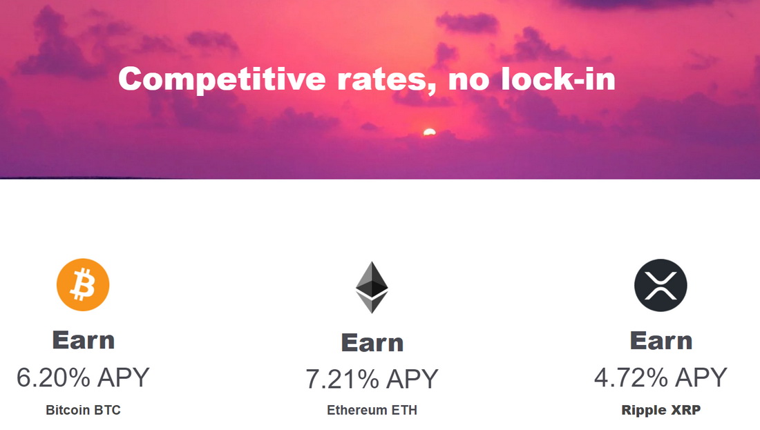 liquid crypto exchange fees