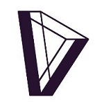 Dvision Network logo