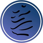 MS Token logo