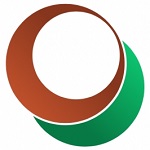 Cassava Network logo
