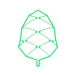 Pine Protocol logo