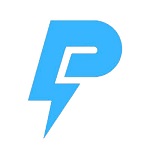 Pozzer logo