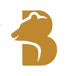 Bair AI logo