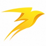 Storm Trade logo