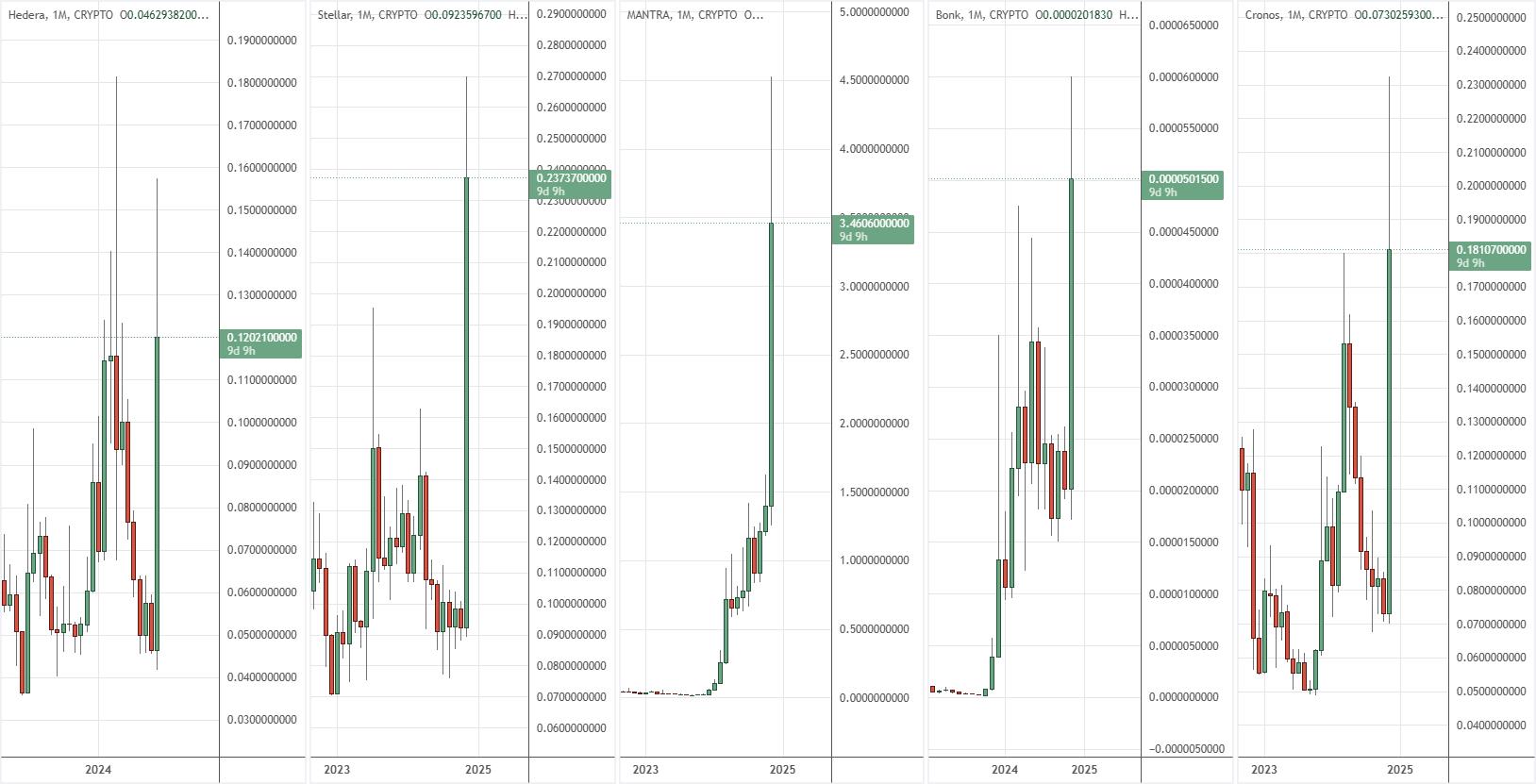 crypto growth in november 2024