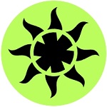 RAA Vision logo