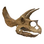 Jurassic Finance (RAWR) logo