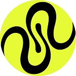 Squid (QUID) logo