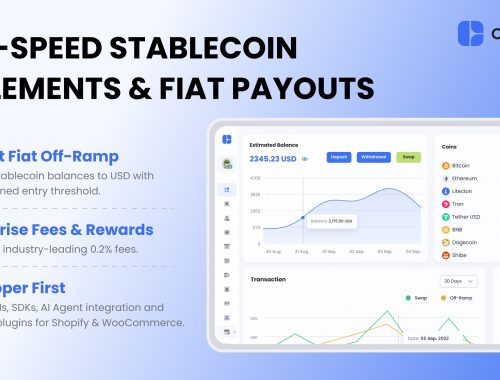 CCPayment crypto merchant dashboard illustrating high-speed stablecoin settlements, quick fiat off-ramps to USD, and enterprise-grade 0.2% processing fees