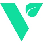 Valle Capital Token (VCT) logo
