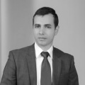 Siarhei Medvedev