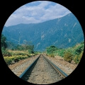 Macdx